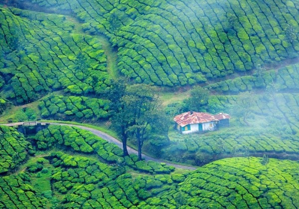 Munnar