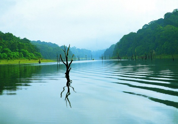 Thekkady