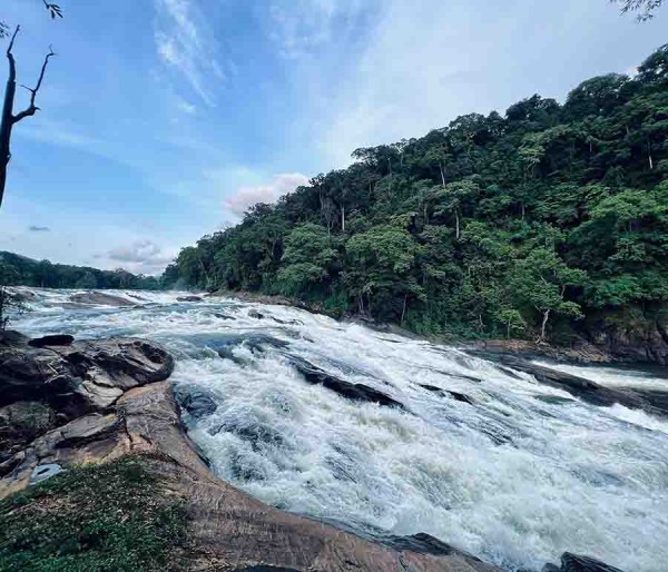 Athirapilly Vazhachal | Cochin