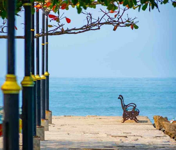 Cherai | Cochin
