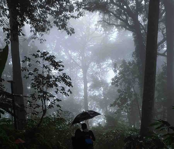 Cochin | Munnar