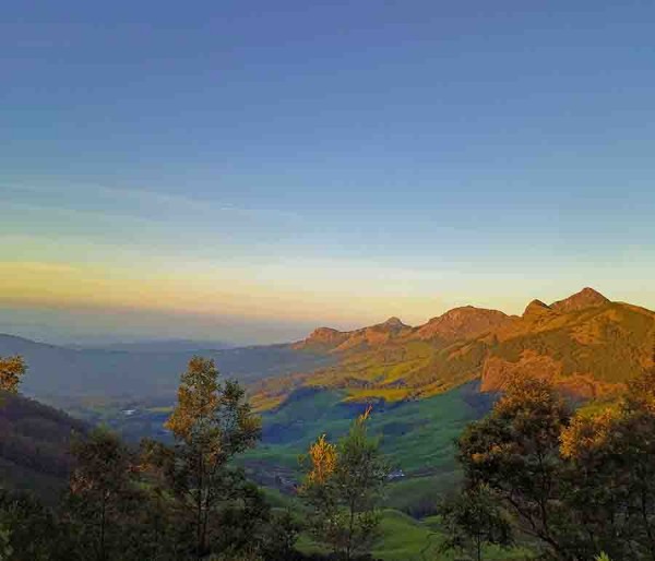 Cochin | Thekkady