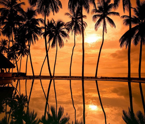 Alleppey | Alleppey Houseboat | Cochin | Munnar | Thekkady