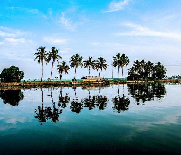 Alleppey Houseboat | Alleppey Resort | Kovalam | Munnar | Thekkady