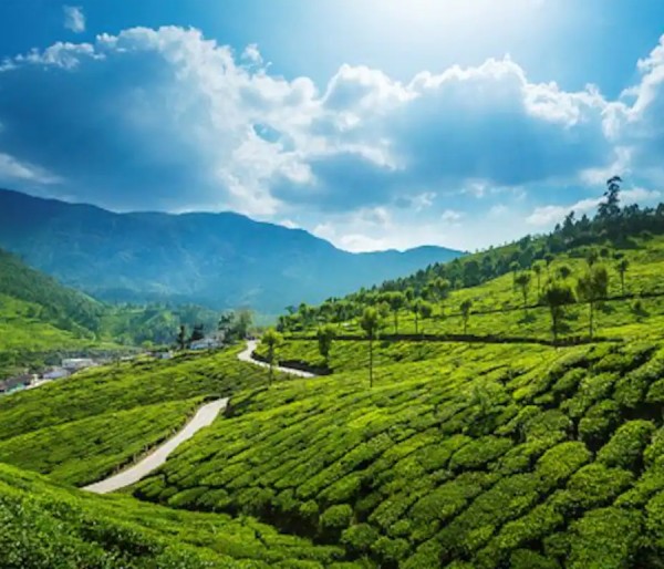 Alleppey | Cochin | Munnar