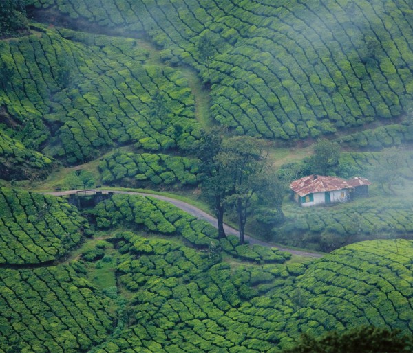 Alleppey Houseboat | Munnar