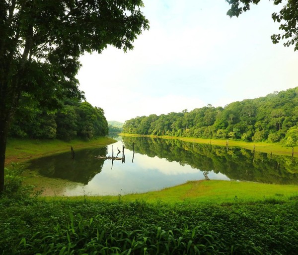 Alleppey Houseboat | Cochin | Munnar | Thekkady