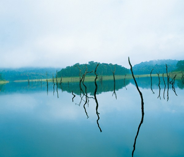 Alleppey | Cochin | Thekkady