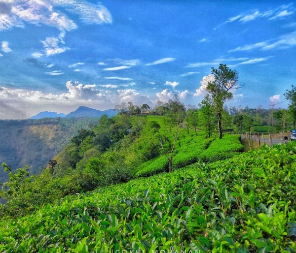 Athirapilly Vazhachal | Munnar | Thekkady | Vagamon