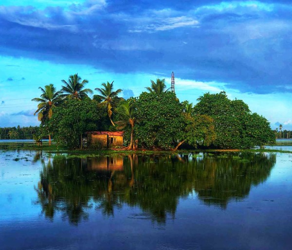 Alleppey Houseboat | Kovalam | Munnar | Thekkady | Trivandrum