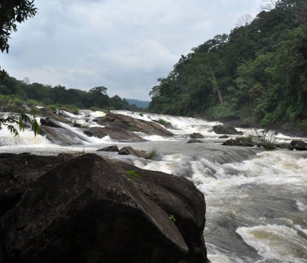 Athirapilly Vazhachal | Munnar