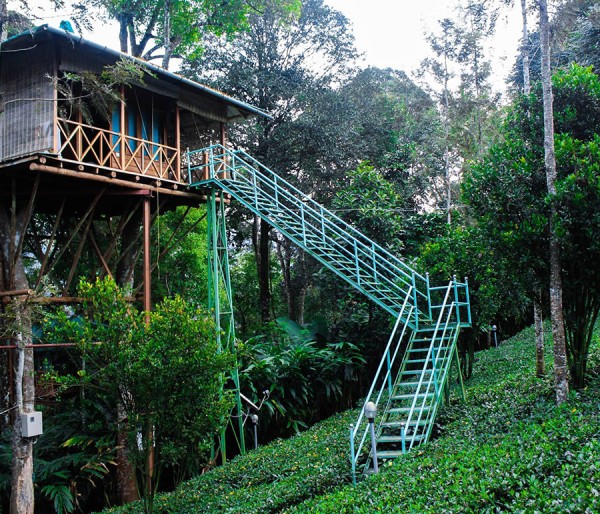 Athirapilly Vazhachal | Munnar | Thekkady | Vagamon