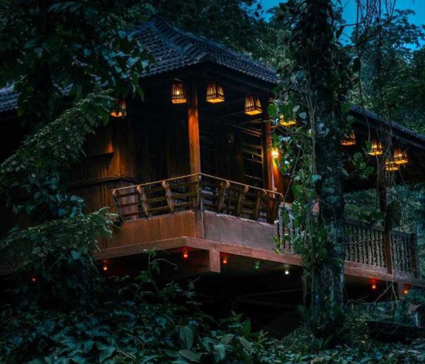 Cochin | Thekkady