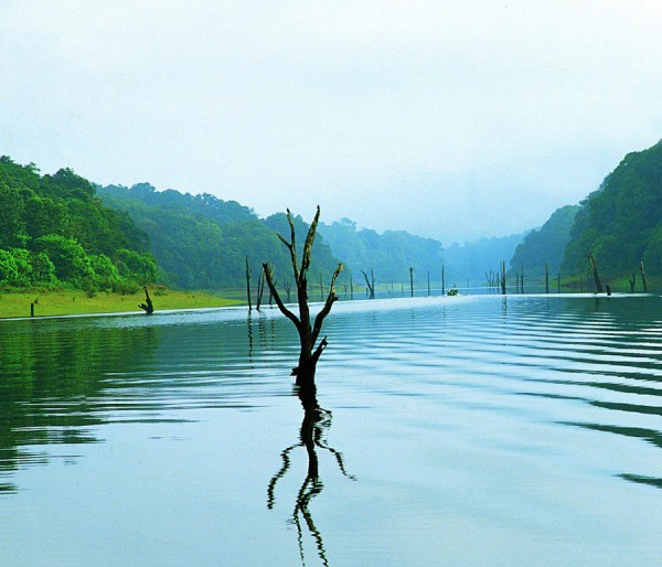 Alleppey Houseboat | Athirapilly Vazhachal | Cherai | Munnar | Thekkady