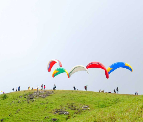 Cochin | Vagamon