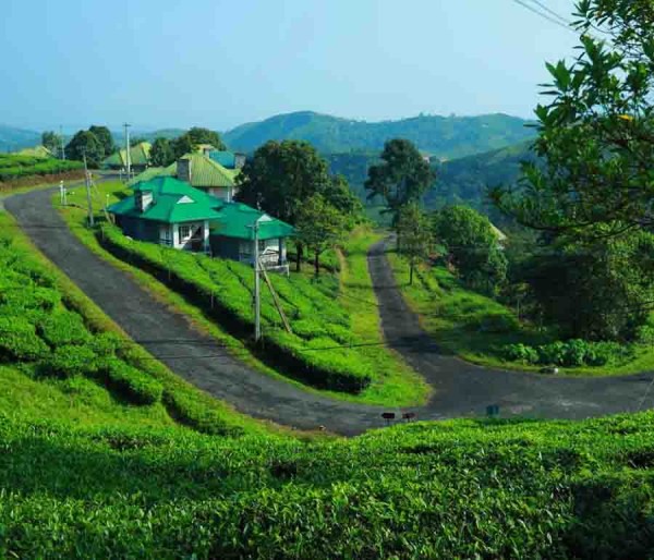 Cochin | Vagamon