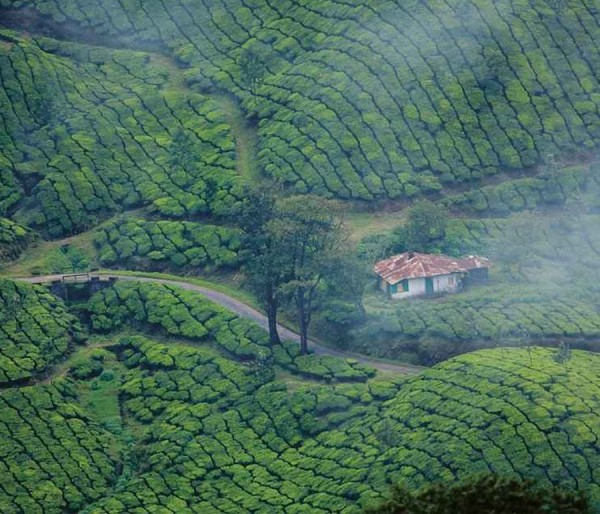 Alleppey Houseboat | Alleppey Resort | Kovalam | Munnar | Vagamon