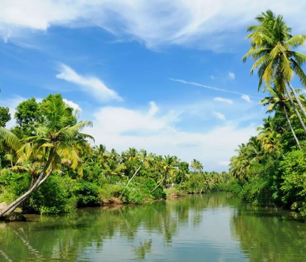 Alleppey Houseboat | Kovalam | Munnar