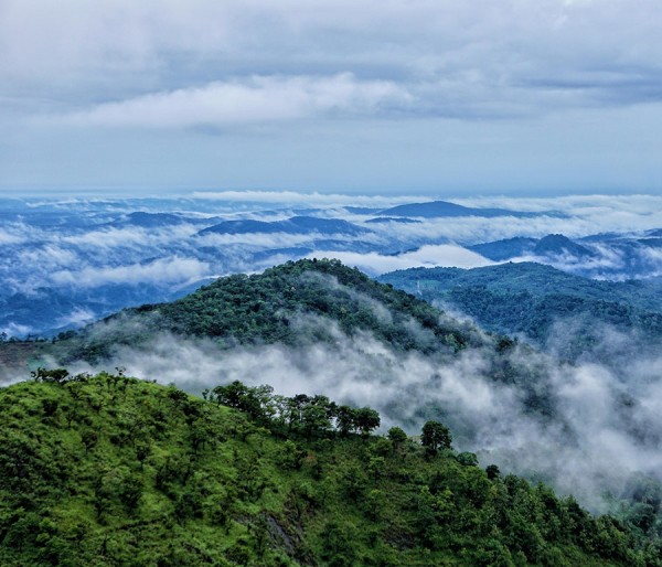Guruvayoor | Munnar | Wayanad